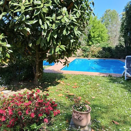 Guesthost - La Casa Nel Pineto With Pool & Parking شقة